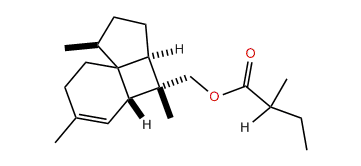 10-epi-Italicen-12-yl 2-methylbutyrate